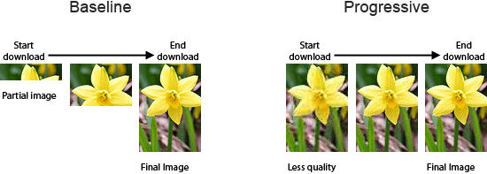 网站优化 图片优化 Web优化